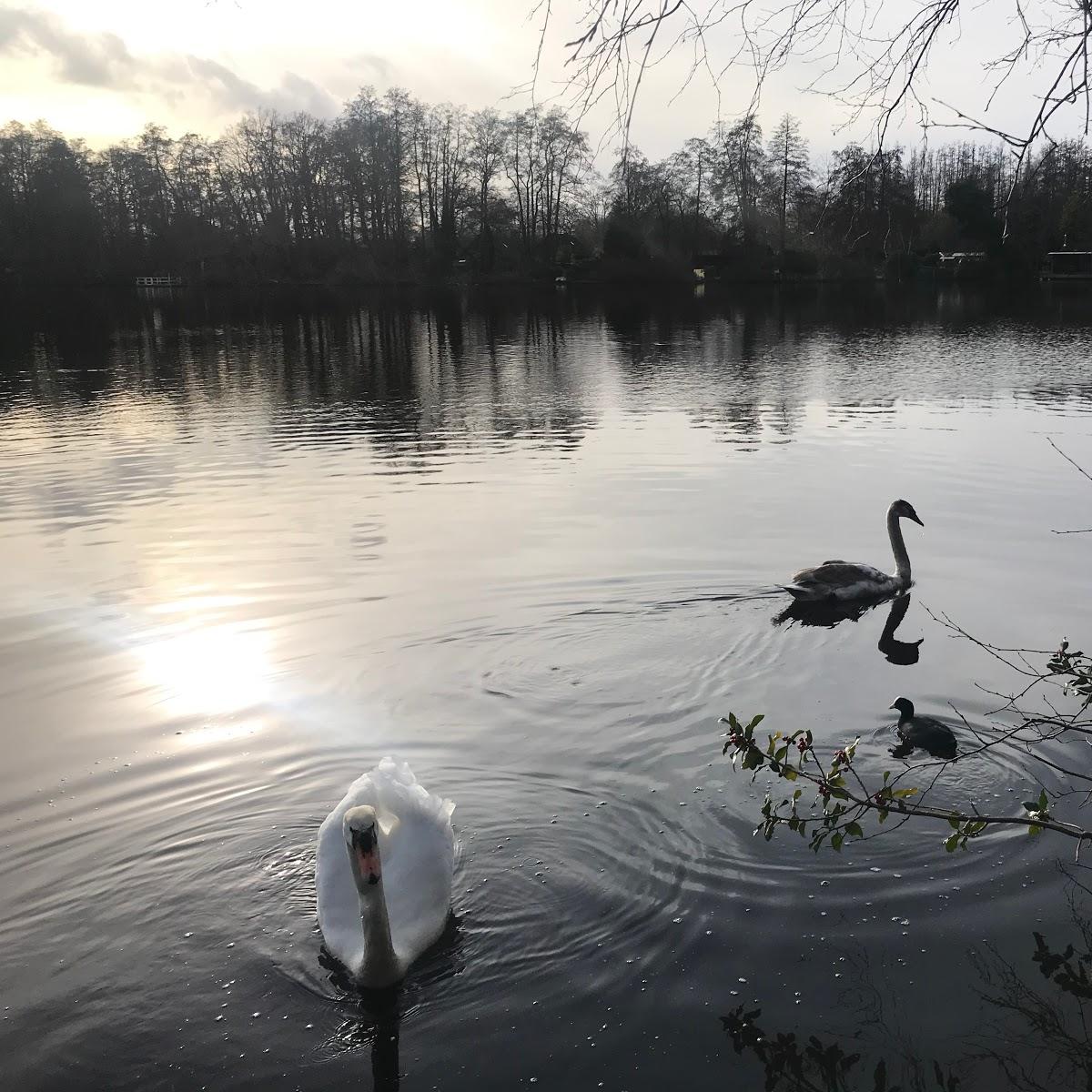Restaurant "Brempt" in  Schwalmtal
