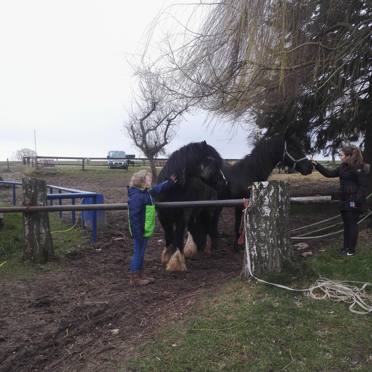 Restaurant "Friesenhof Wieratal" in  Jückelberg