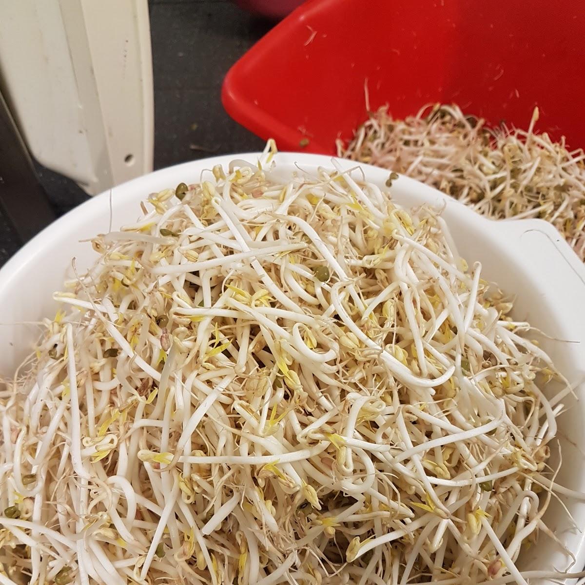 Restaurant "AsiaWok" in  Diez