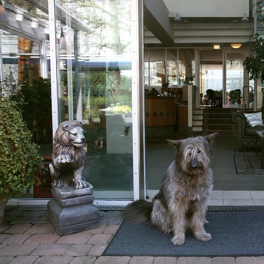 Restaurant "Hotel - Goldener Stern" in  Ingbert