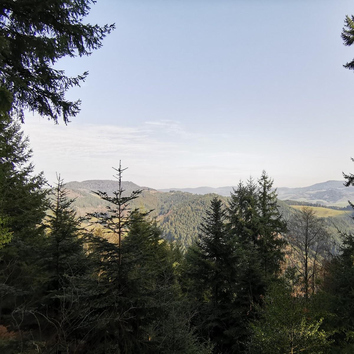 Restaurant "Kuhhornkopfhütte" in  Harmersbach