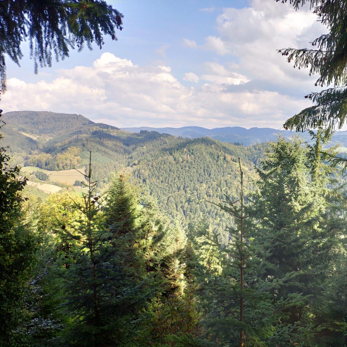 Restaurant "Kuhhornkopfhütte - Wander- und Freizeitverein Unterharmersbach e.V." in Zell am Harmersbach