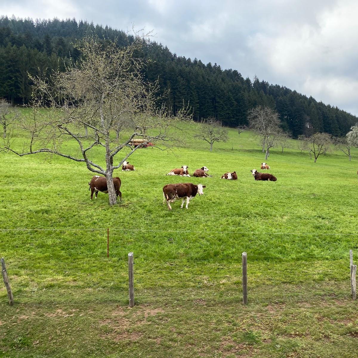Restaurant "Oberburehof" in  Harmersbach