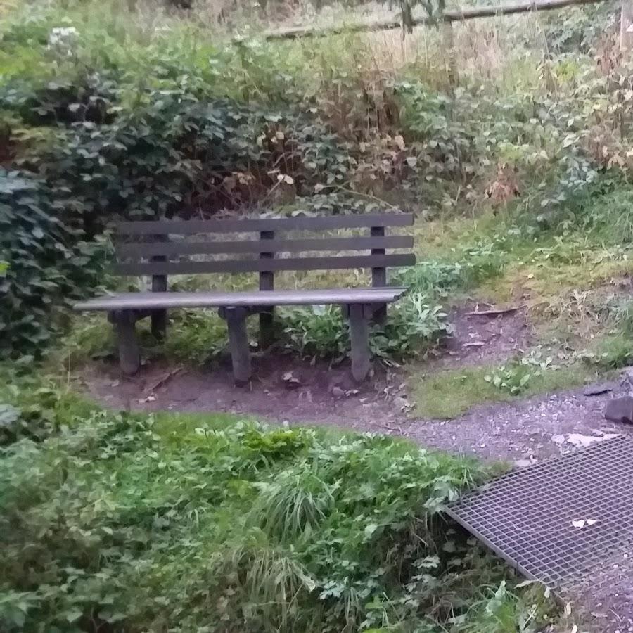 Restaurant "Hubertusquelle" in  Oberharz