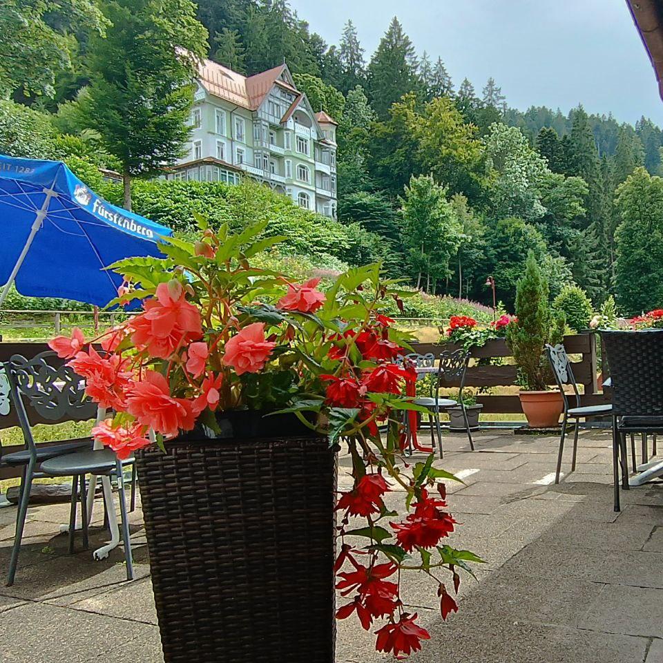 Restaurant "Hotel-Restaurant Pfaff Triberg" in Triberg im Schwarzwald