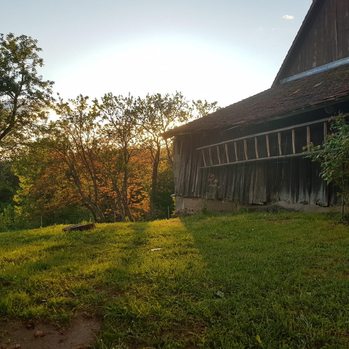 Restaurant "Hotel -Restaurant Oberschnorrhof" in  Dammbach