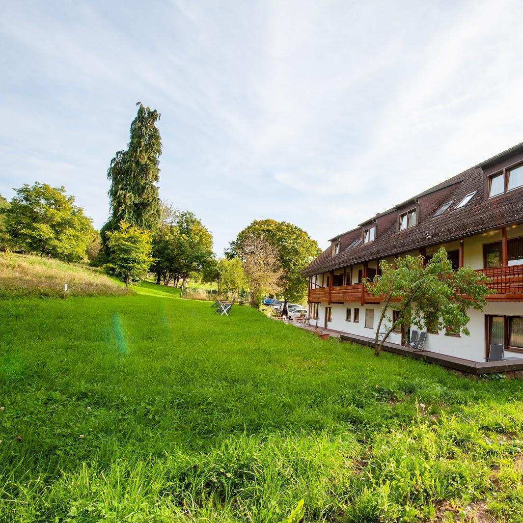 Restaurant "Hotel -Restaurant Oberschnorrhof" in Dammbach