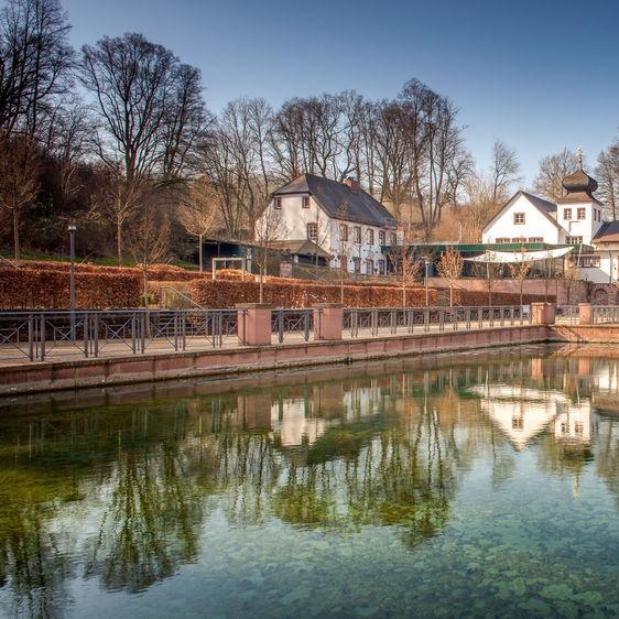 Restaurant "Romantik Hotel Landschloss Fasanerie" in  Zweibrücken
