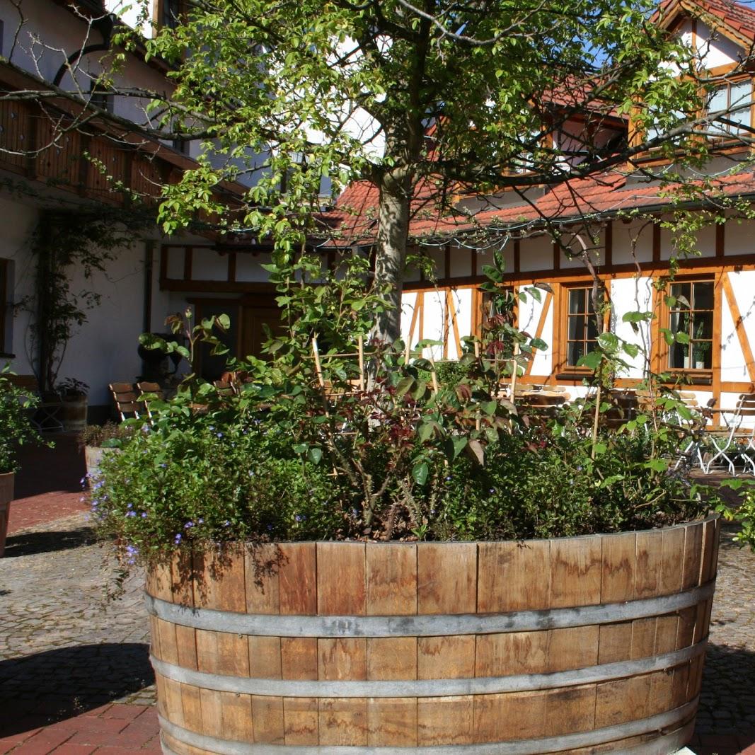 Restaurant "Hotel Weinstube Gutshof" in  Rauenberg