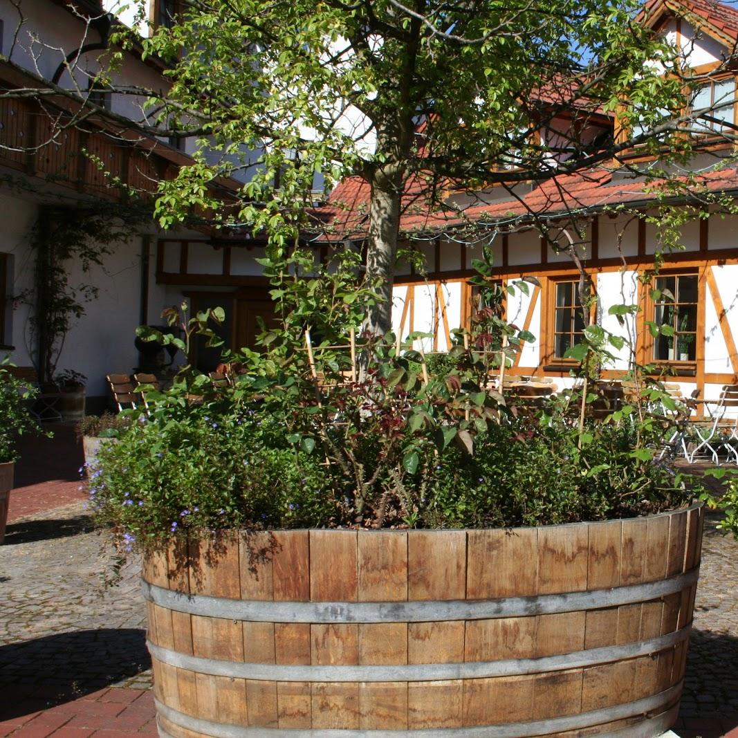 Restaurant "Hotel Weinstube Gutshof" in Rauenberg