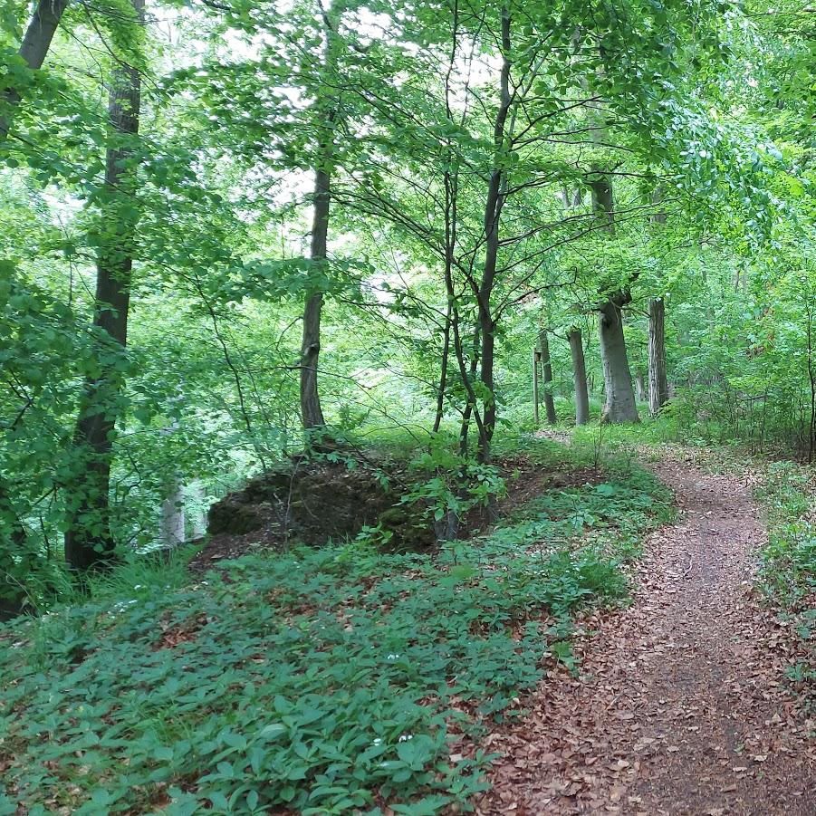 Restaurant "Grillhütte" in  Grebenstein