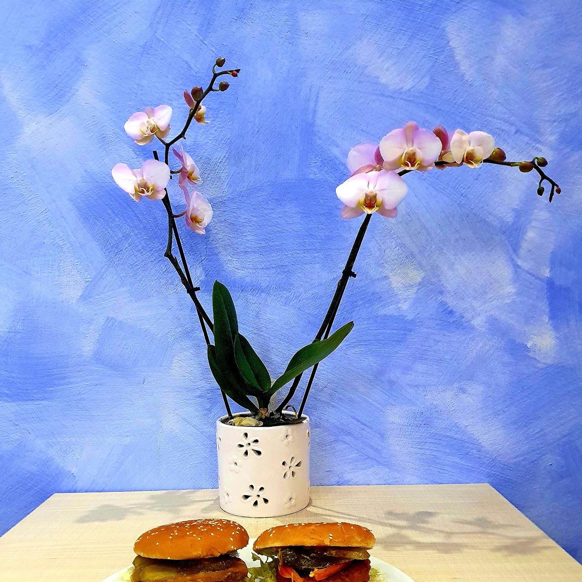 Restaurant "Hellas imbiss" in  Albstadt