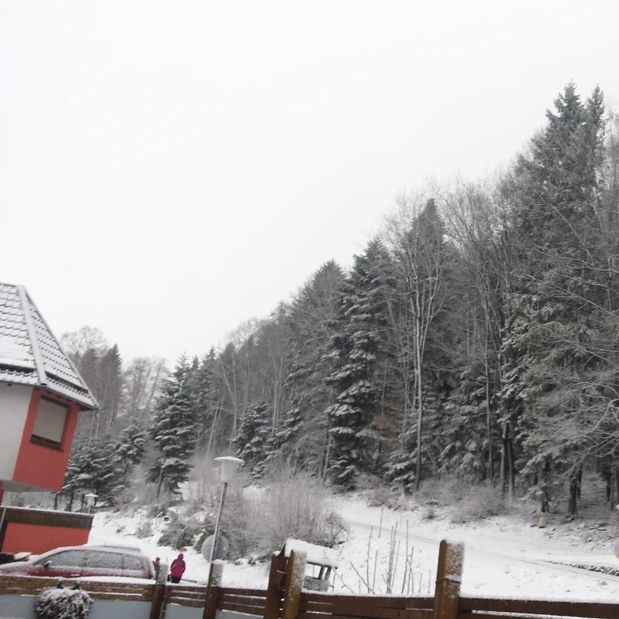 Restaurant "Pension Gaistal Restaurant" in  Herrenalb