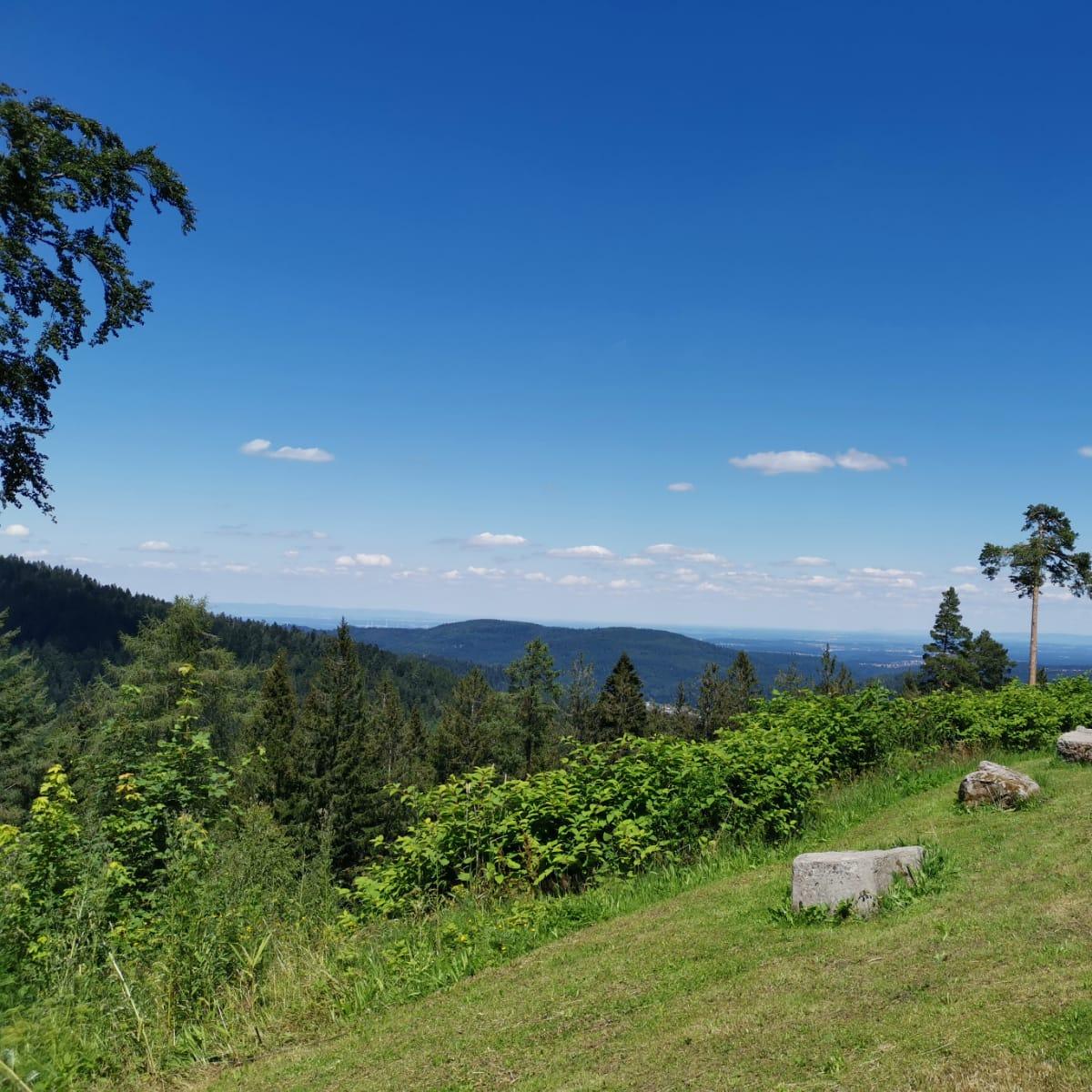 Restaurant "Pizzeria Da Luna" in  Herrenalb