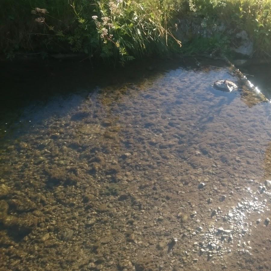 Restaurant "Vereins- u. Gästehaus Petersthal" in  Oy-Mittelberg