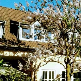 Restaurant "Weinhotel Weinstube Wolf" in  Harxheim
