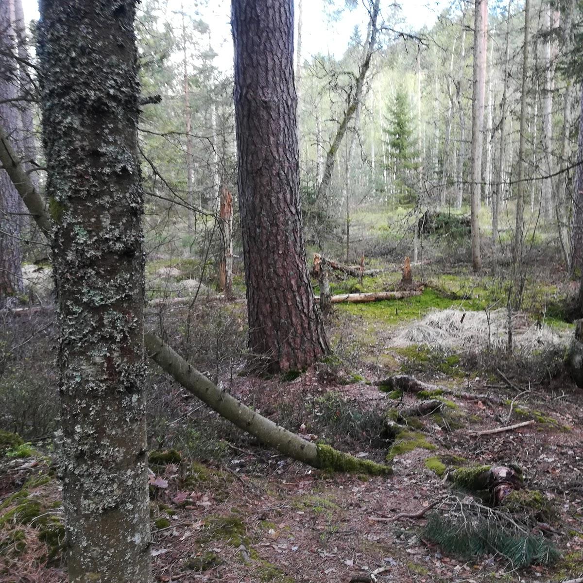 MAISENBACHER HIRSCH - Wirtshaus und Garten