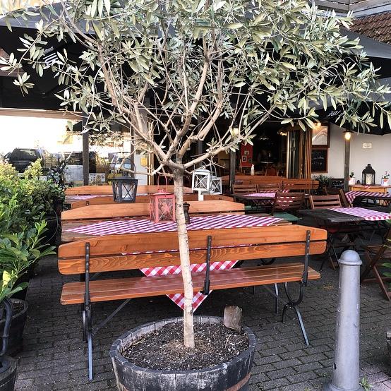 Pizzeria Cavallino
