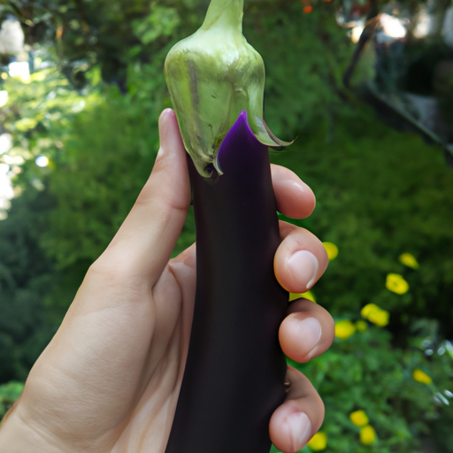 Dürüm Veggie