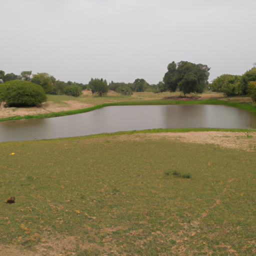 Baghali Polo ba Mahiche