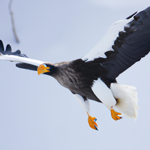 Hokkigai Rezept Rezept