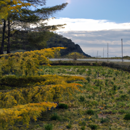 Karamellisierter Spargelsalat mit Orangendressing Rezept